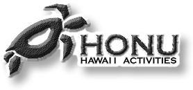 Honu Hawaii Activities