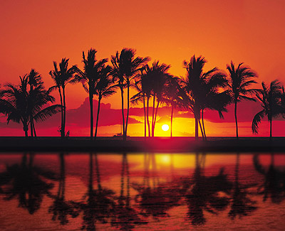 Waikoloa Beach Mariott Sunset Luau